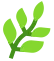 tree branch